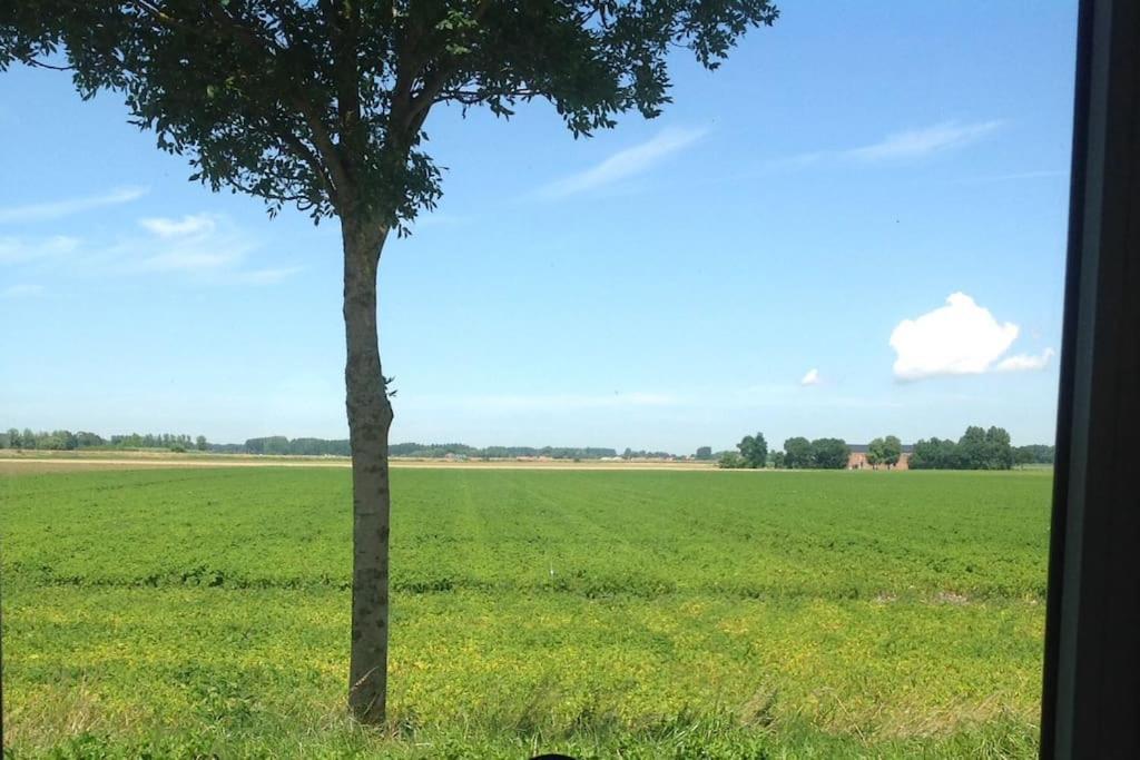 Dijkhuisje Zeeland Waterlandkerkje ภายนอก รูปภาพ