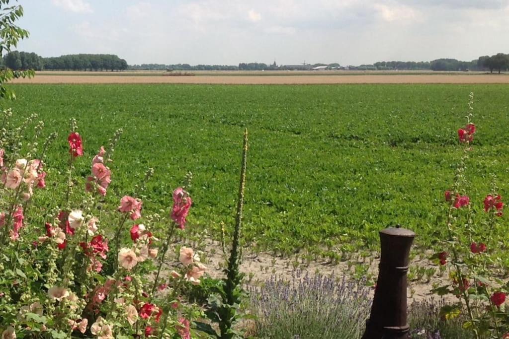 Dijkhuisje Zeeland Waterlandkerkje ภายนอก รูปภาพ