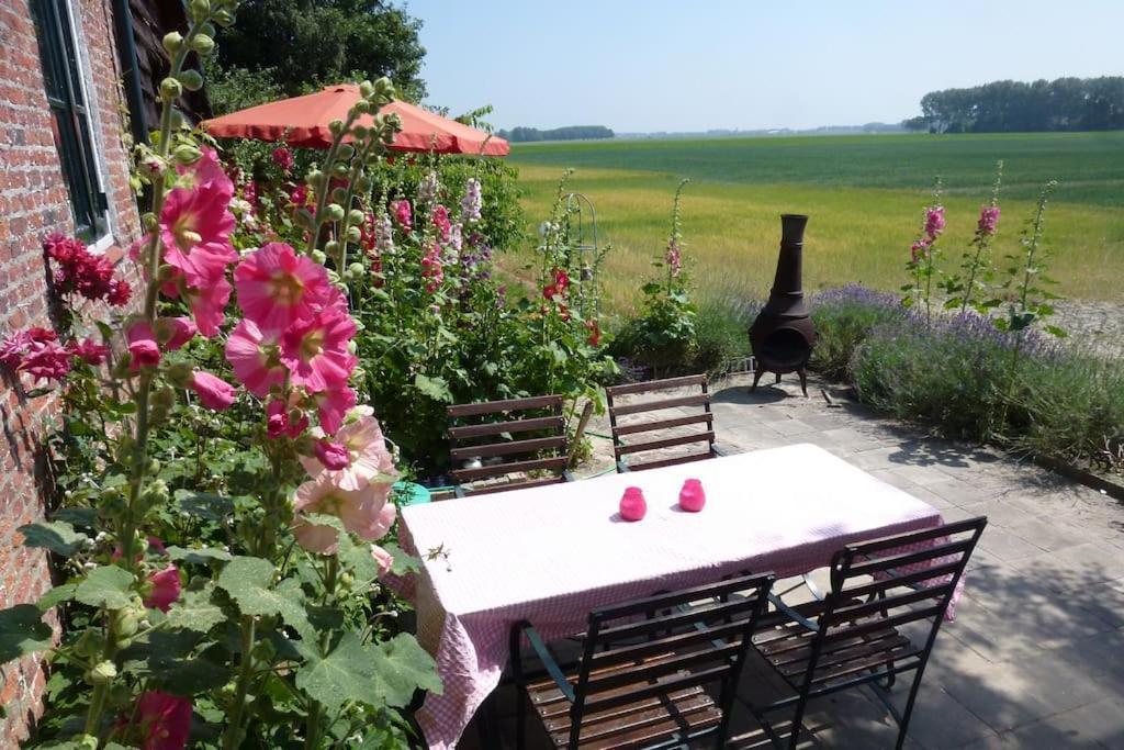 Dijkhuisje Zeeland Waterlandkerkje ภายนอก รูปภาพ
